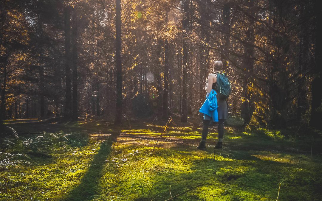 Spirituelles Pilgern auf der Karlshöhe