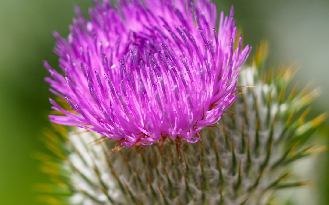 Spruch zum Oktober von Diakon Eberhard Seyfang