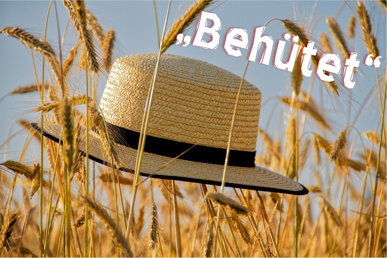 Sommergruß u. Sommer-Urlaubssegen (Video)