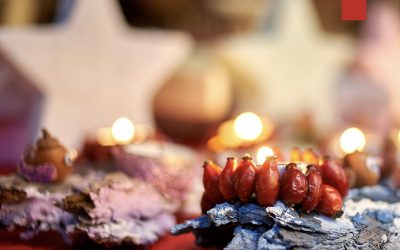 Türchen 1: Leben aus dem Koffer