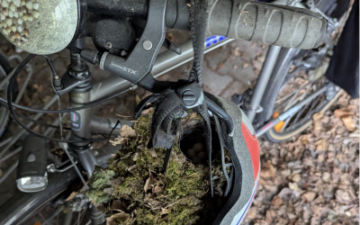 Rotkehlchen nistet in Fahrradhelm
