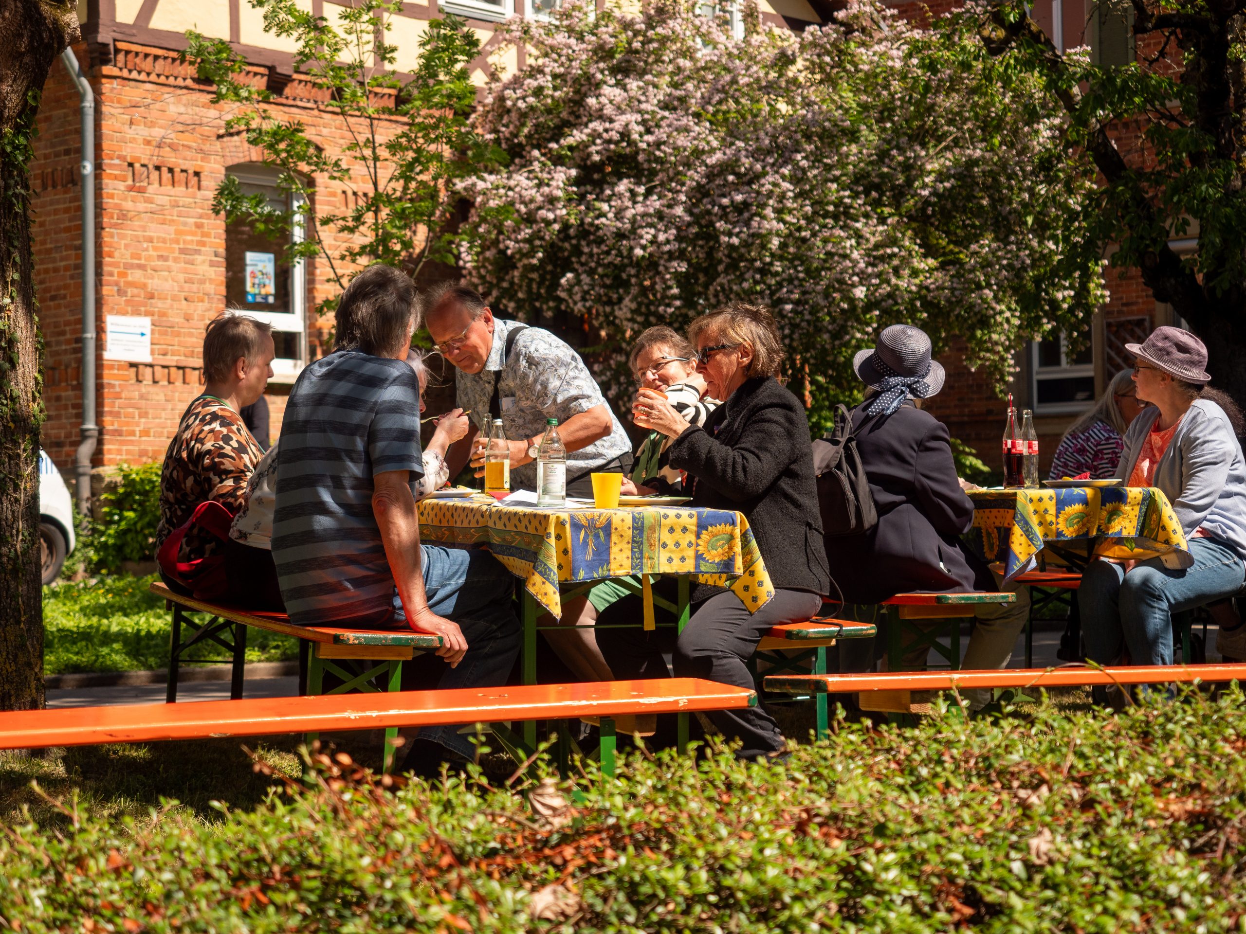 Ein schattiges Plätzchen Strahlender Sonnenschein beim Karlshöher Jahresfest. Menschen sitzen auf Biertischen auf einer saftigen Wiese und essen.